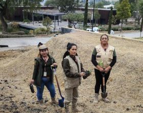 Reforestan Cepanaf y Probosque el Parque de la Ciencia Tlalnepantla, plantan arboles de capulín, fresno, jacaranda y acacia