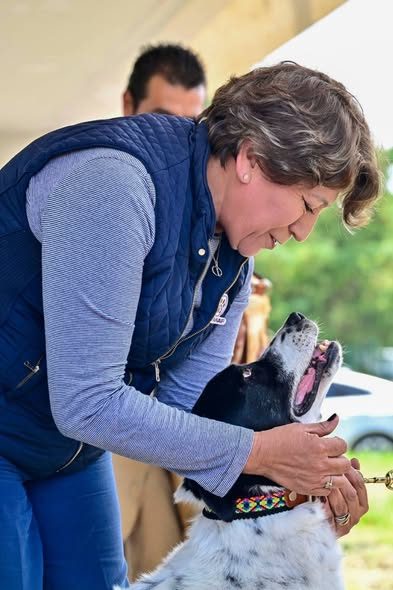EdoMéx Protege a Seres Sintientes en Situación de Calle, Abandono o Maltrato, con Ley de Bienestar Animal Impulsada por la Gobernadora Delfina Gómez